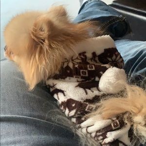 Meet your Posher, Randy